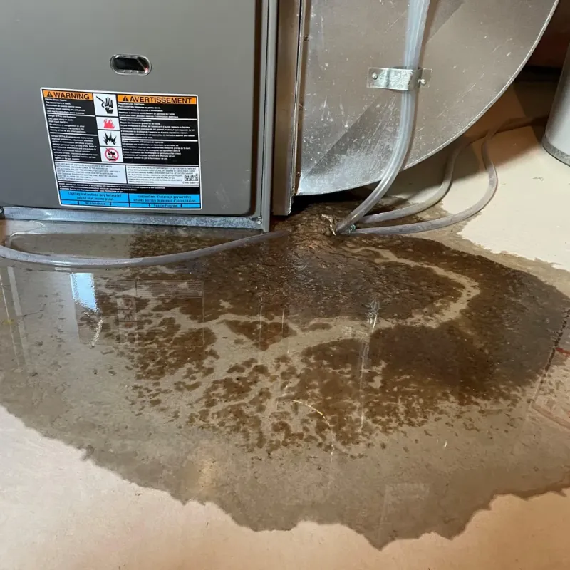 Appliance Leak Cleanup in Keokuk, IA